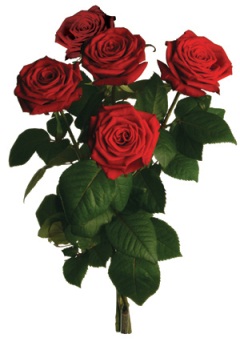Våler Blomsterforretning